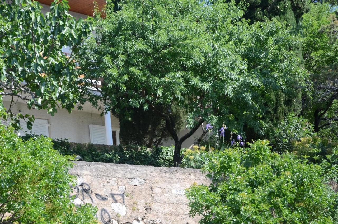 Corina & Franco Apartment Senj  Exterior photo